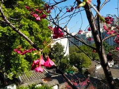 -乌山风景区