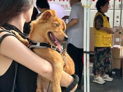 -嘉荣超市(望牛墩店)