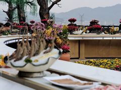 -枇杷园食为鲜火锅(南山店)