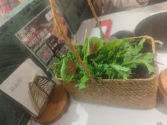 -芸山季·云南山珍菌火锅(南翔印象城MEGA店)