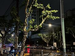 -芸鲜季·云南野生菌餐厅· 云南风物味研社(闵行店)