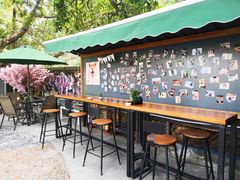 露天位-柴犬高等学院·狗咖·柴犬售卖·宠物训练