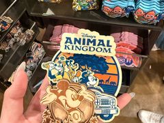 -奥兰多迪士尼动物王国乐园