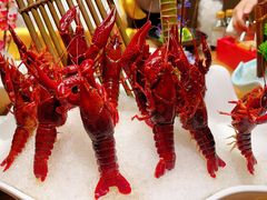 -尚海豆捞(乐虹坊店)