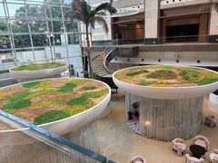 -上海外滩茂悦大酒店