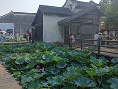 -乌镇西栅景区