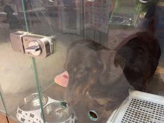 -FAELING PETS美天灵宠物(富力广场店)