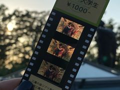 -三鹰之森吉卜力美术馆