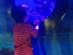 -烟台海昌鲸鲨海洋公园