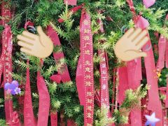 -神光山国家森林公园