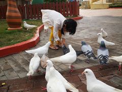-广州融创文旅城