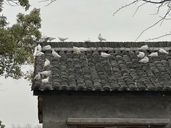-良渚古城遗址公园