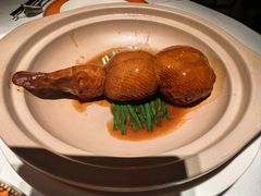 -鹿园 MOOSE(长宁店)