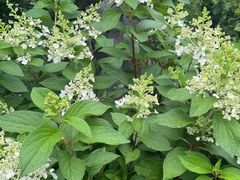 -赵尔巽公馆-旧址