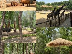-北京野生动物园