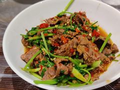 香菜炒牛肉-壹盏灯(惠农店)