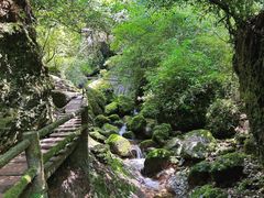 -青城山