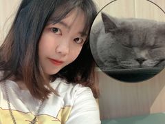 -绒爪撸猫下午茶·猫咖
