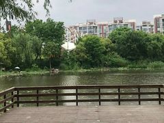 -新江湾城公园