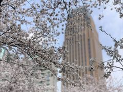 -西北湖绿化广场