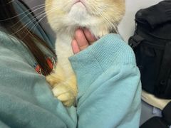 -lincat·猫舍(广州店)