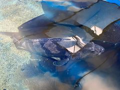 -鸿通城购物中心