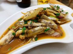 姜葱炒蛏子-华盛丰温州大排档(东三环南路店)