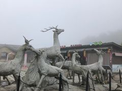 -永泰中国云顶