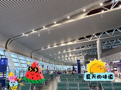 -合肥新桥国际机场-航站楼