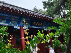 -刘公岛景区