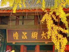 -古大圣慈寺