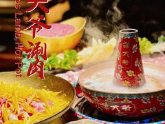 -羊大爷涮肉(亮马桥店)