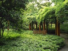 -徐家汇源景区-衡山公园