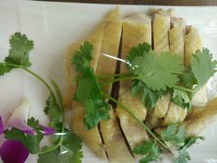 -明珠湖天鹅苑·农家菜馆