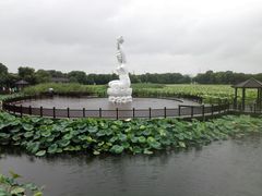 -荷塘月色湿地公园·向阳花洲
