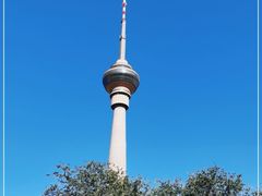 -中央广播电视塔