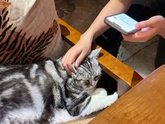 -咖法森林·咖啡  酒吧(天河店)