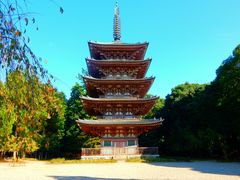-醍醐寺