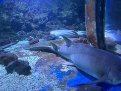 -大连老虎滩海洋公园