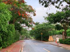-亚龙湾国际玫瑰谷