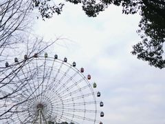 -温州乐园