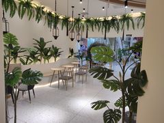 -猫域·湾主题猫咖·宠物吧(南坪城市广场店)