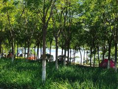 -天津东丽湖风景区