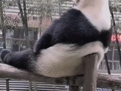 -渔家乐小海鲜(皇姑店)