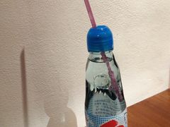 波子汽水-铃木食堂(帽儿胡同店)