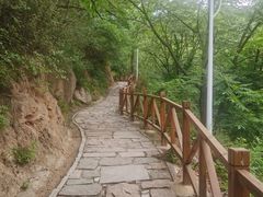 -大岭沟猕猴桃谷风景区