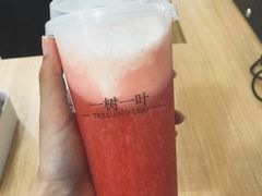 -一树一叶·福建茶档(石鼓路店)