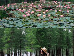 -白鹭湾湿地公园