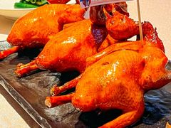 -侨美食家(体育西路店)