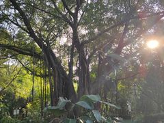 -乌山风景区